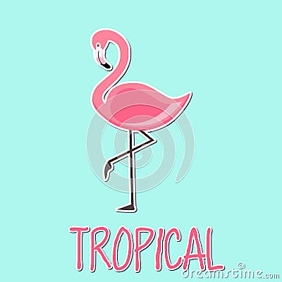 Tropical Lettering illustration with Pink Flamingo. Vector isolated illustration Cartoon Illustration